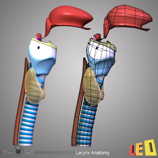 female head anatomy eye 3d model - Female Head Anatomy by leo3Dmodels