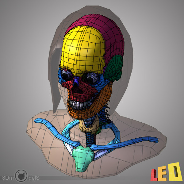 female head anatomy eye 3d model - Female Head Anatomy by leo3Dmodels