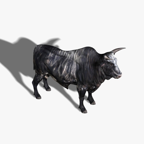 Bull