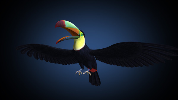 3d flying toucan - Toucan B ( Flying ) by MotionCow