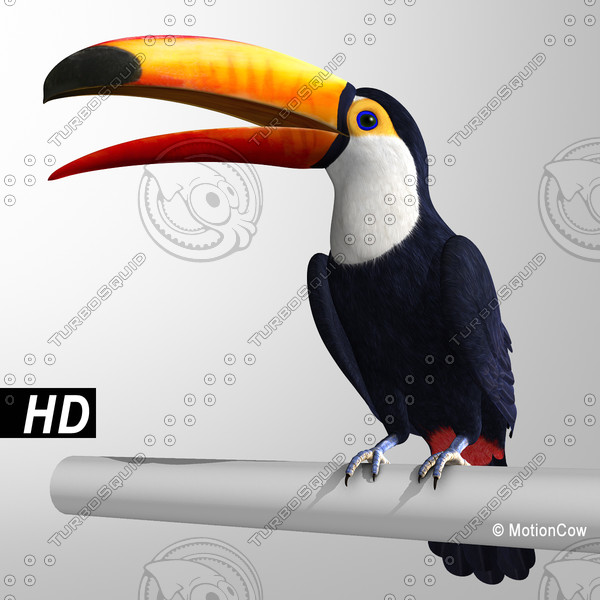 3d max toucan wings folded - Toucan A ( Folded Wings ) by MotionCow
