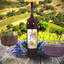 Wine,grapes and glasses