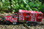 Coca-Cola_Truck_0004