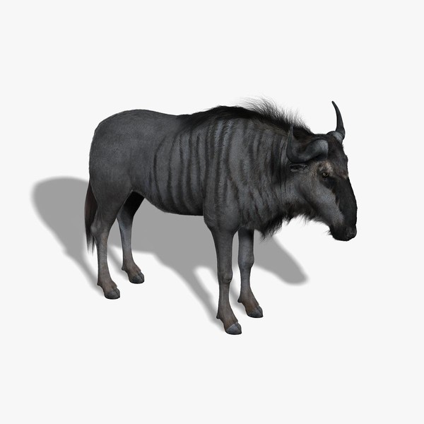 Wildebeest (FUR)