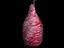 Meat