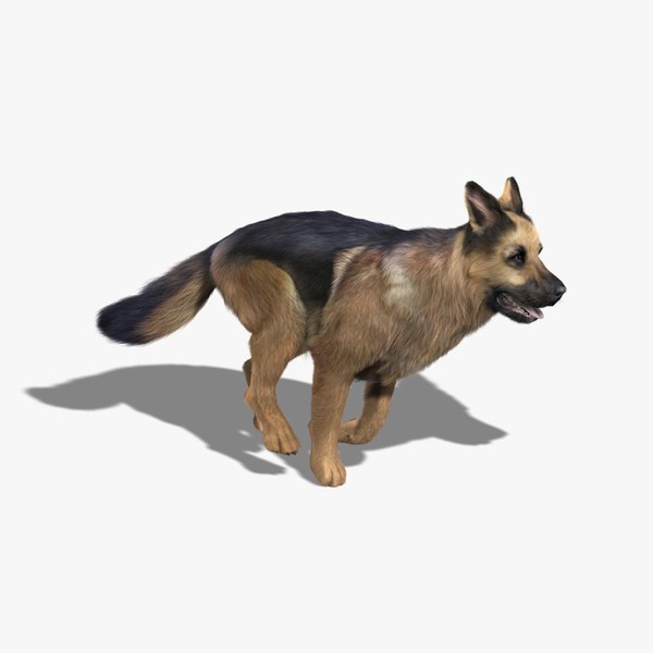 german shepherd fur animations 3d model - German Shepherd (FUR) (ANIMATED) by Massimo Righi