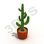CACTUS IN EARTHENWARE POT