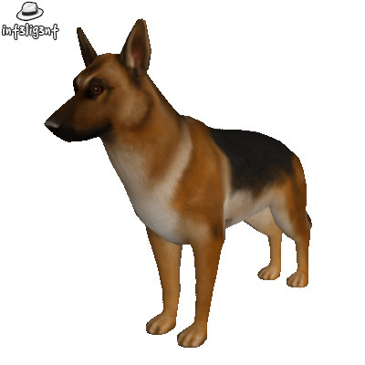 edge loop 3d model - Low Poly German Shepherd by Int3lig3nt