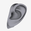 ear