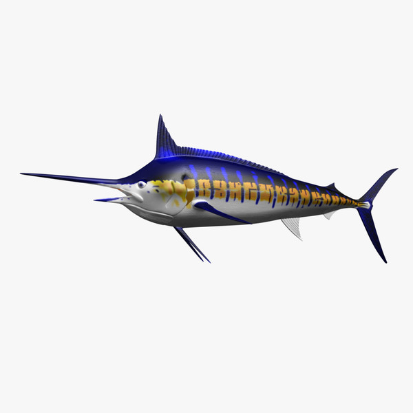 blue marlin fish ma - Blue Marlin by Inspired Grafix