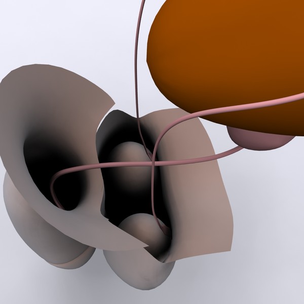 reproductive basic 3d max - Male Reproductive System Basic by MotionMediaWorkshop