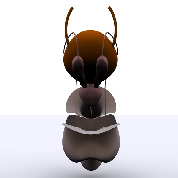 reproductive basic 3d max - Male Reproductive System Basic by MotionMediaWorkshop