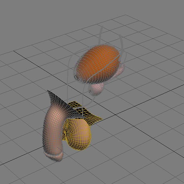 reproductive basic 3d max - Male Reproductive System Basic by MotionMediaWorkshop