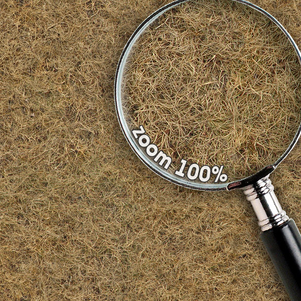 Grass Textures 1024x1024 vol.1