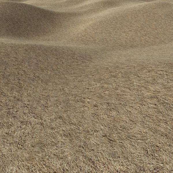 Grass Textures 1024x1024 vol.1