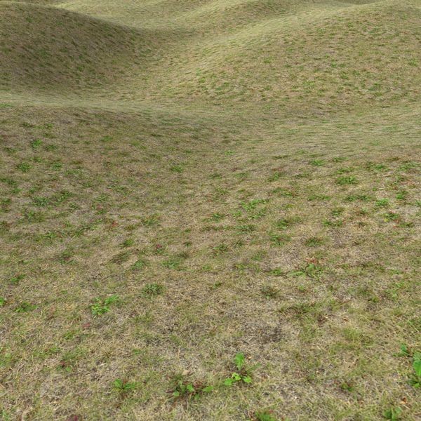 Grass Textures 1024x1024 vol.1