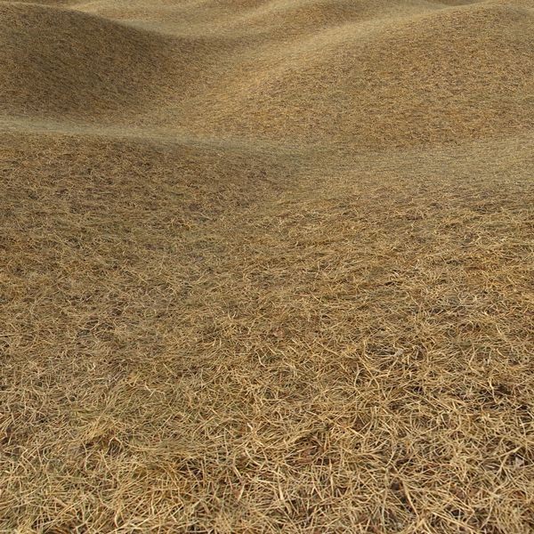 Grass Textures 1024x1024 vol.1