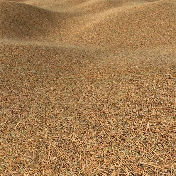 Grass Textures 1024x1024 vol.1