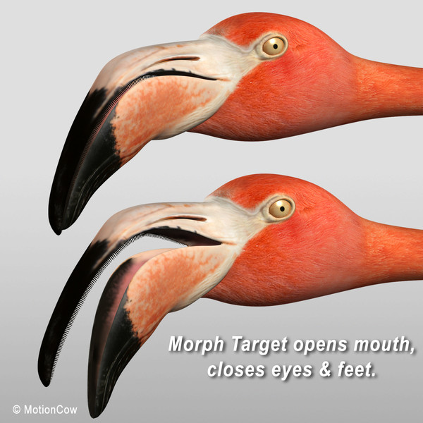 3d model flying flamingo - Flamingo ( Flying ) by MotionCow