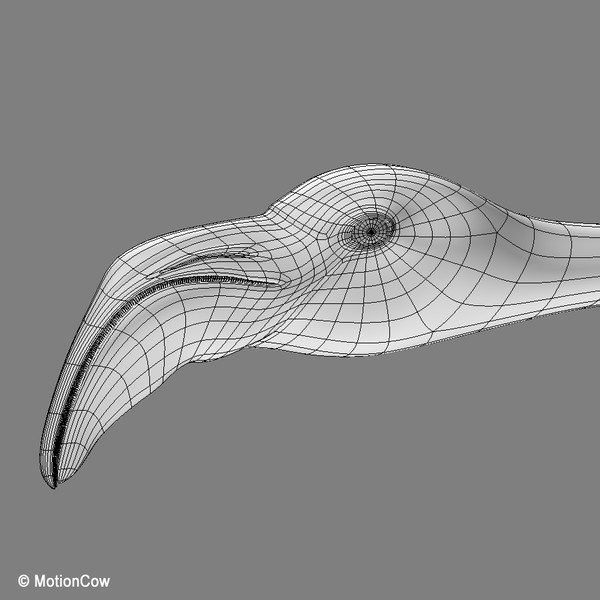 3d model flying flamingo - Flamingo ( Flying ) by MotionCow
