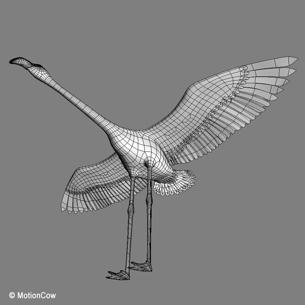 3d model flying flamingo - Flamingo ( Flying ) by MotionCow