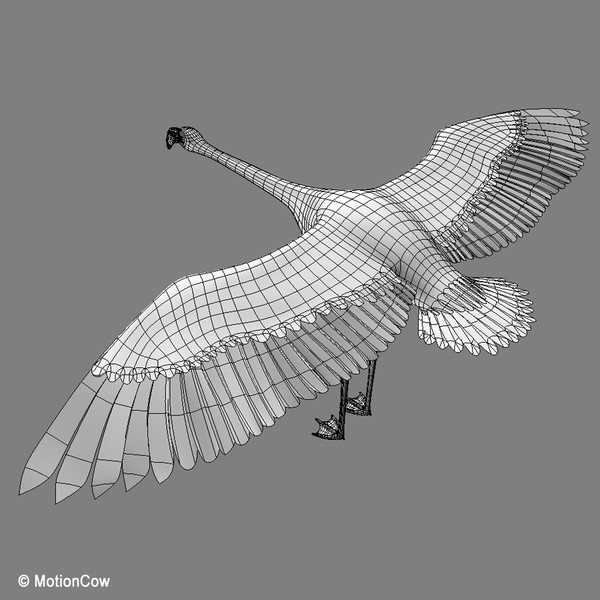3d model flying flamingo - Flamingo ( Flying ) by MotionCow