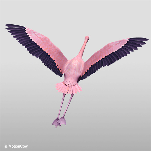 flying pink flamingo max - Flamingo Pink ( Flying ) by MotionCow