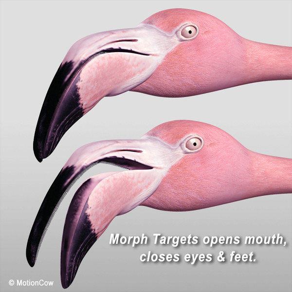 flying pink flamingo max - Flamingo Pink ( Flying ) by MotionCow