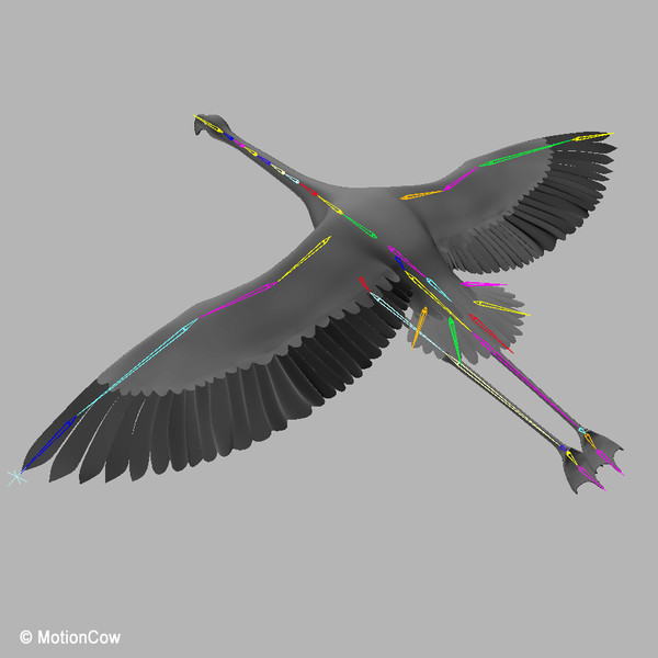 flying pink flamingo max - Flamingo Pink ( Flying ) by MotionCow