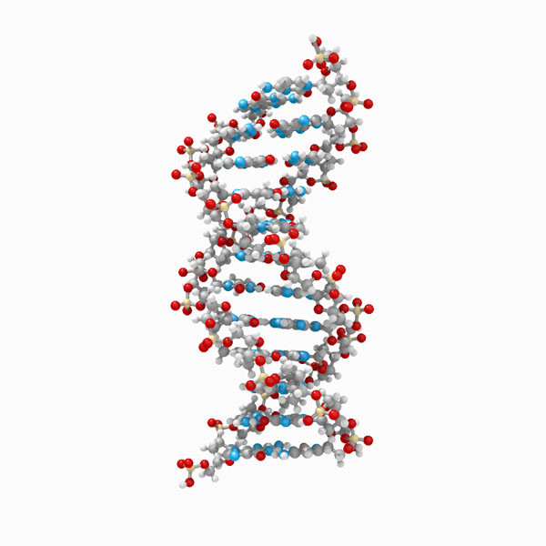 3dsmax dna double - DNA by Harry Lime