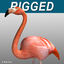 Flamingo ( Folded Wings)