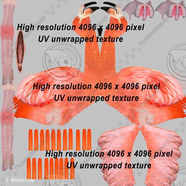3d max flamingo - Flamingo ( Folded Wings) by MotionCow