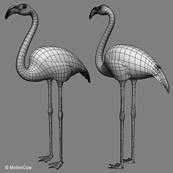 3d pink flamingo model - Flamingo Pink ( Folded Wings) by MotionCow