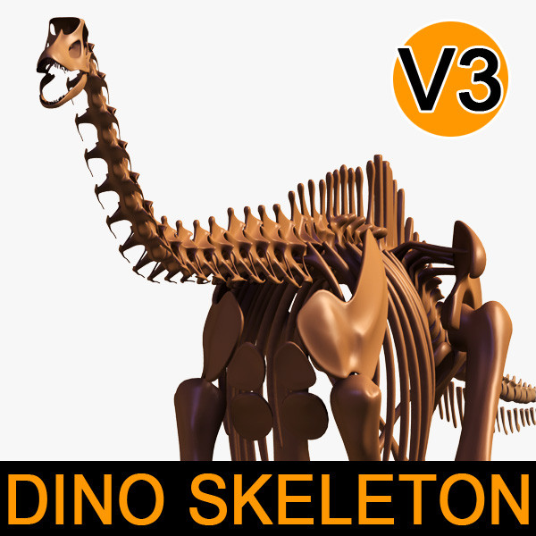 Dino skeleton / Diplodocus / with separate bones 3D Models