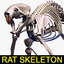 Rat skeleton with separated bones