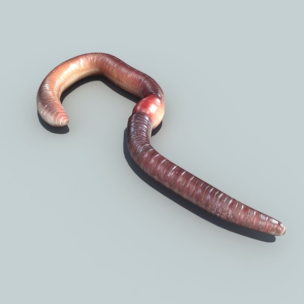 earth worm 3d max - Earth worm by 3D Graphics