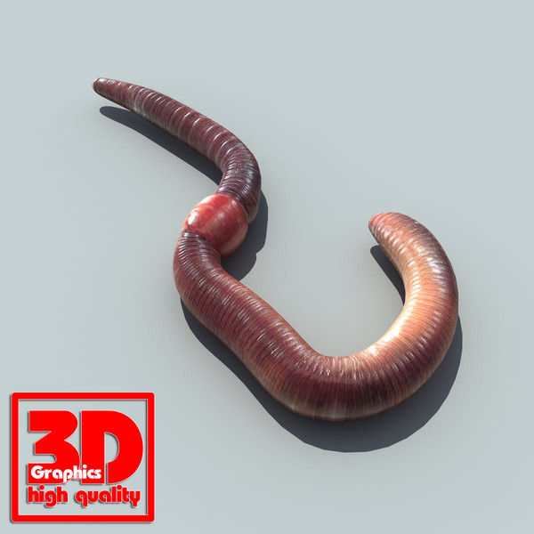 earth worm 3d max - Earth worm by 3D Graphics