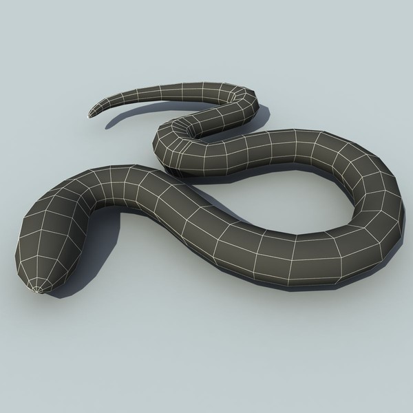 3d model earth worm - Earth worm V2 by 3D Graphics