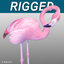 Flamingo Pink ( Folded Wings)