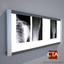 Xray Light Box