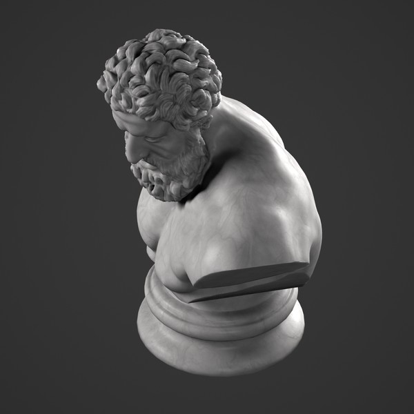 3d hercules bust - Hercules Bust by clay master