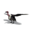 vulture