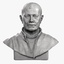 Male Adult Bust