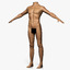 Male Body
