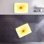 Aqua Creations Nara fixture