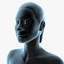 Female Anatomy - X-Ray Integumentary Skin System