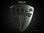 Tesla 3d Logo