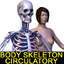 Body Circulatory Skeleton F