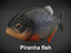 piranha fish