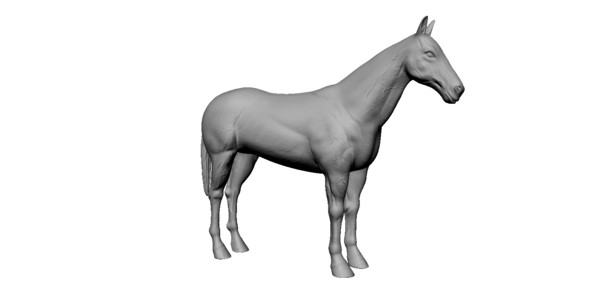 3d model horse - Horse by Schloder87